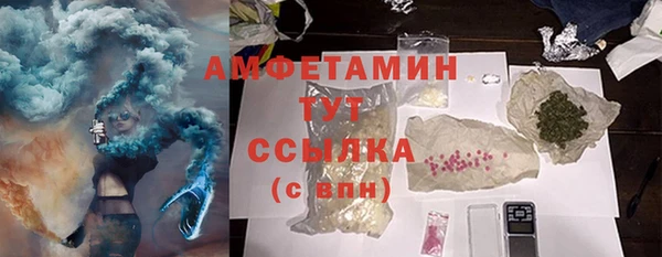 хмурый Гусь-Хрустальный