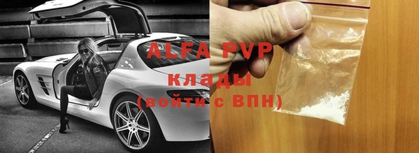 хмурый Гусь-Хрустальный