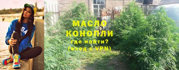 хмурый Гусь-Хрустальный