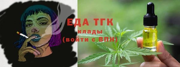 хмурый Гусь-Хрустальный