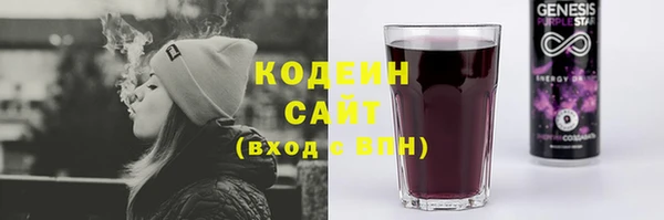 хмурый Гусь-Хрустальный