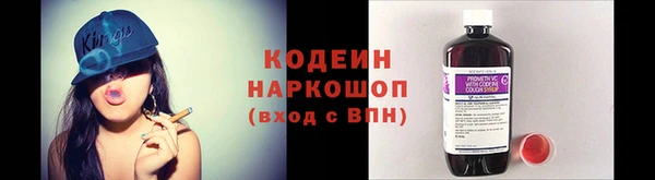 хмурый Гусь-Хрустальный