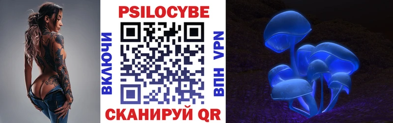 Купить закладки  Волчанск  Псилоцибиновые грибы Psilocybe 